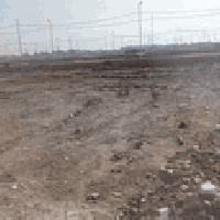 الزيتون • ٢٠٠م • سند