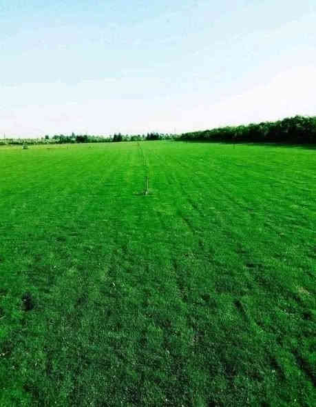 زبائننا الكرام اسعار تنافسيه سارع عله الحجز ابو الكميات سارع عله الحجز
متوفر كافة انواع الثيل الطبيعي 
الثيل الامريكي🌿الثيل الهندي🌿الثيل الايطالي 🌿الثيل الفرنسي
مع كادر مختص يجيك لباب بيتك
بسعر مناسب وكفاءة عالية
نجهز كل انواع الحدائق
والملاعب والمتنزهات 💚
الاسعار تختلف بختلاف النوع
ثيلنة الافضل 
وتوصيلنة الاسرع 🚙🚚
للطلب او الاستفسار التواصل مع الصفحة او الاتصال على الرقم التالي
***********     واتساب
***********
