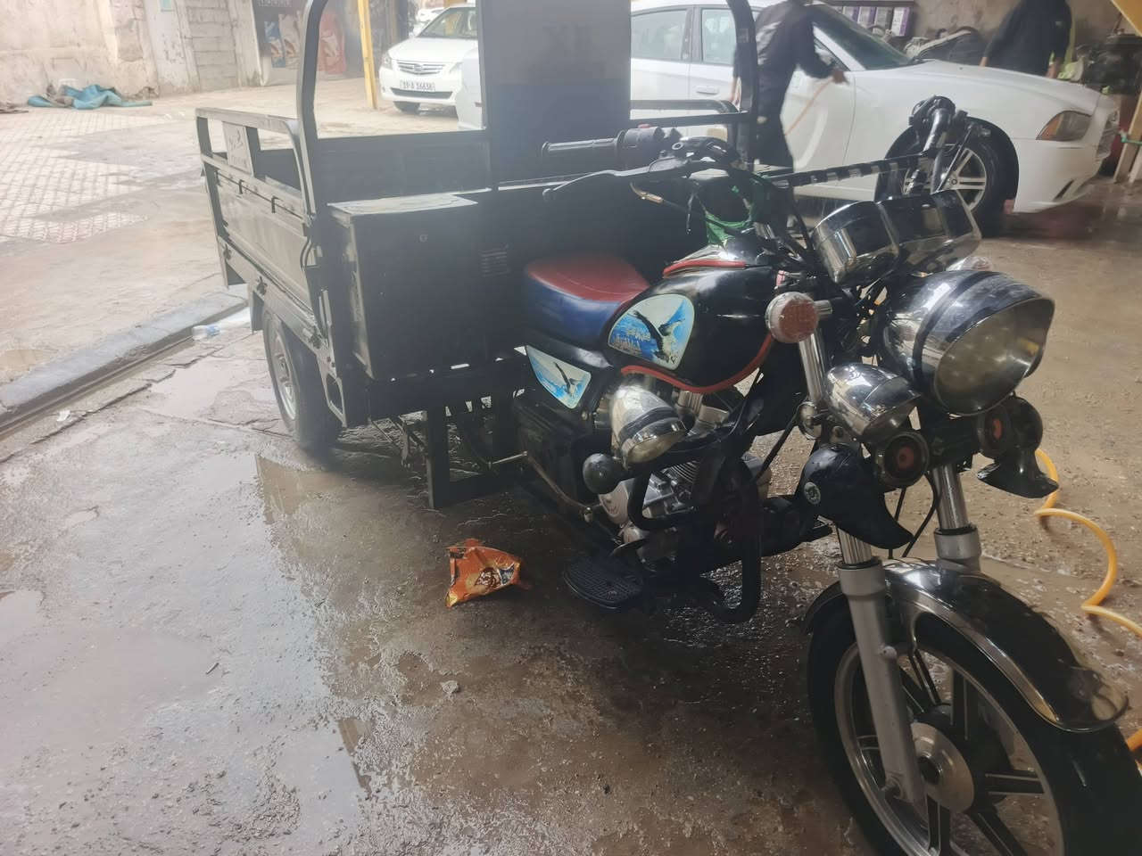 ستوته البيع بتره 23اوراق صولي مكان الحمزه شرقي سعر خاص رقم الهاتف ***********مو شراي لا يراسل
