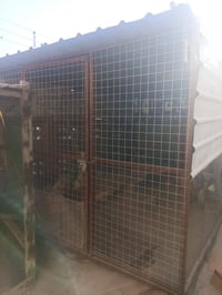 قياسها عرض 3 قياس طول 5 استفسار  ع ه̷̷َـَْـُذآ رقم 07732165219