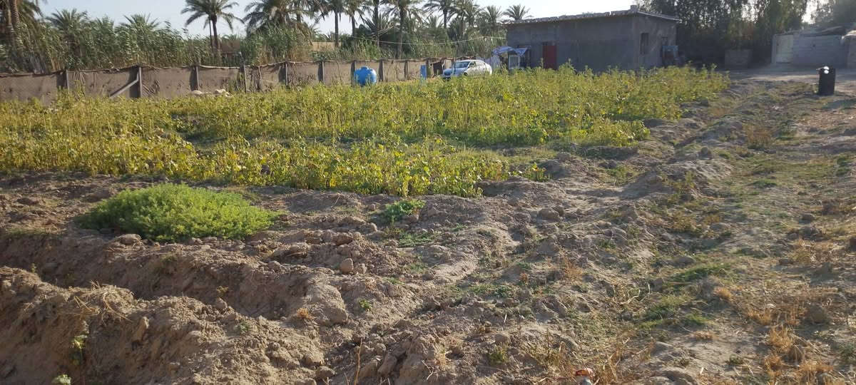 السلام عليكم دونم للبيع في فرع المصلخ ثاني قطعه تبعد عن للشارع 20متر متوفر كافه للخدما ت من ماء و كهرباء ومولد سحب مسيج بالكامل واذا تريد نص دونم هم موجود الاتصال على الرقم خاص ماكو ***********
