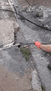 فتح مجاري في كركوك شد خلاطات وكاكات تئسيس بواري تئسيس المجاري تصليح المجاري    فتح كافة المجاري اي انسداد بالمجارياتصل ***********اني اجيك للبيت شرط يفتح اذا مايفتح ماخذ منك ولا دينار تصليح المجاري تبديل البواري التالفه عمل منهولات تبديل كاشي الحمام هاذ رقمي وبخدمتكم اي وقت مفتوح  وه ستاى بورى و كردنه وه ى مجارى و نه هيشتنى بونى ناخوشى مجارى و چاره سه رى هه موو كيشه يهكى مجارى و مه نهوطل  اماده ين بينه ماله كانتان له هه ر كويه كبن. تنكر سحب فتح مجاري في كركوك  منهولات تبديل كاشي الحمام هاذ رقمي وبخدمتكم اي وقت مفتوح  وه ستاى بورى و كردنه وه ى مجارى و نه هيشتنى بونى ناخوشى مجارى و چاره سه رى هه موو كيشه يهكى مجارى و مه نهول  اماده ين بينه ماله كانتان له هه ر كويه كبنفتح مجاري في كركوك شد خلاطات وكاكات تئسيس بواري تئسيس المجاري تصليح المجاري    فتح كافة المجاري اي انسداد بالمجارياتصل ***********اني اجيك للبيت شرط يفتح اذا مايفتح ماخذ منك ولا دينار تصليح المجاري تبديل البواري التالفه عمل منهولات تبديل كاشي الحمام هاذ رقمي وبخدمتكم اي وقت مفتوح  وه ستاى بورى و كردنه وه ى مجارى و نه هيشتنى بونى ناخوشى مجارى و چاره سه رى هه موو كيشه يهكى مجارى و مه نهوطل  اماده ين بينه ماله كانتان له هه ر كويه كبن. تنكر سحب فتح مجاري في كركوك  منهولات تبديل كاشي الحمام هاذ رقمي وبخدمتكم اي وقت مفتوح  وه ستاى بورى و كردنه وه ى مجارى و نه هيشتنى بونى ناخوشى مجارى و چاره سه رى هه موو كيشه يهكى مجارى و مه نهول  اماده ين بينه ماله كانتان له هه ر كويه كبن
