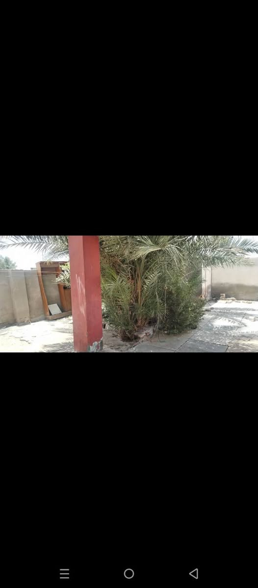 بيت زراعي للبيع المساحه 200متر العطاء طريق الحمزه قرب ملعب السنبله


**إذا كنت صاحب هذا الإعلان وتريد حذفه لأي سبب، رجاءا أرسل رسالة إلى الدعم الفني**