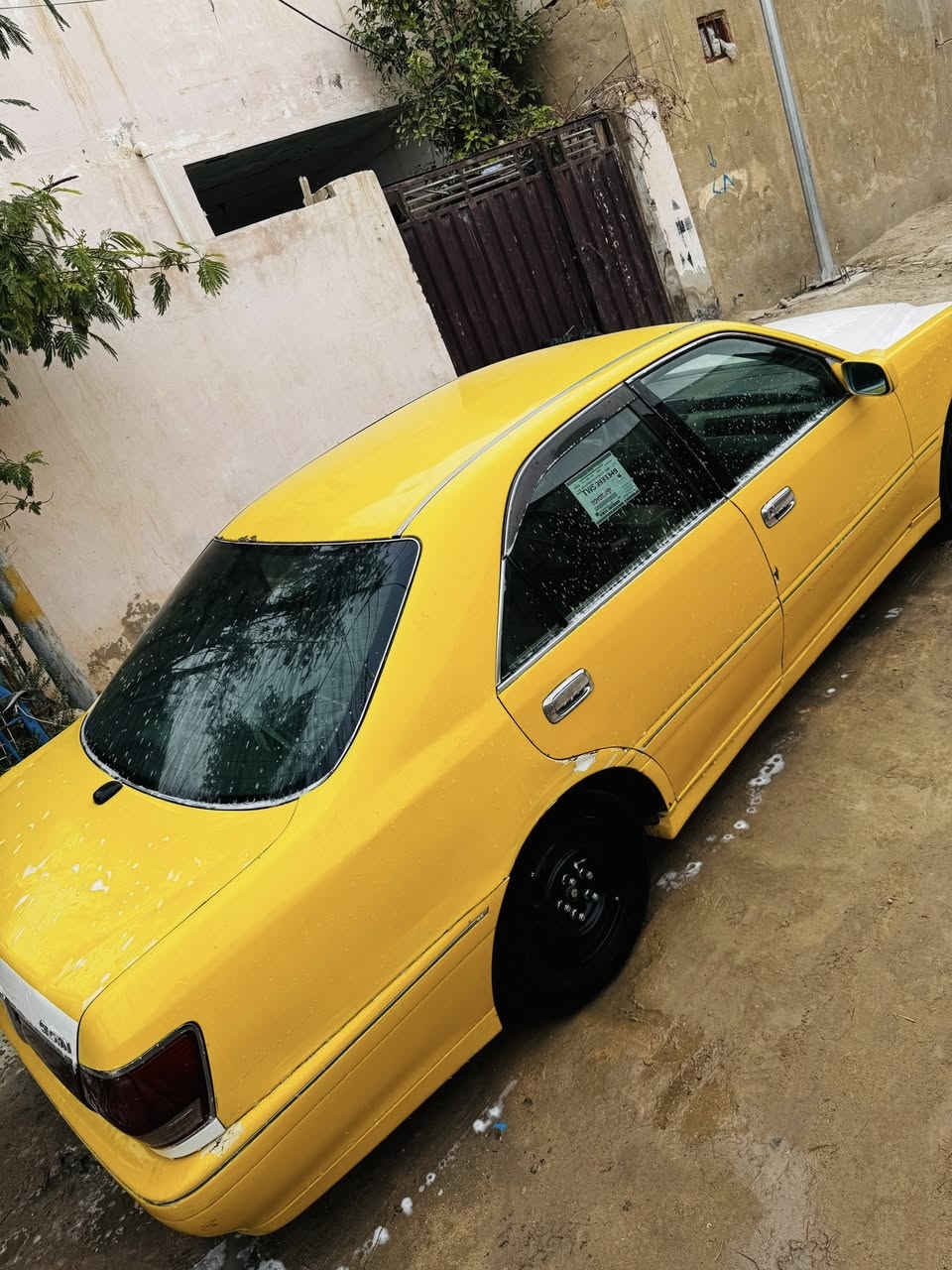 ملكه 2003رقم صلاح الدين الماني مكينه ففتي 2500  دكمتين برده  كصه قماره  ما مفحوصه وكاله ثاني يوم السعر 60 او مراوس براس ثور تكم او فلات  مكاني النجف مناذره 

***********
