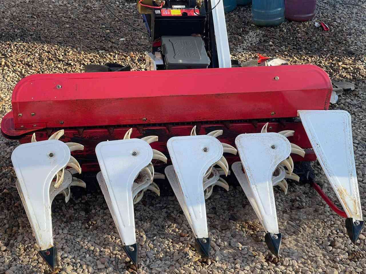 حاشوشه للبيع تواصل ***********
