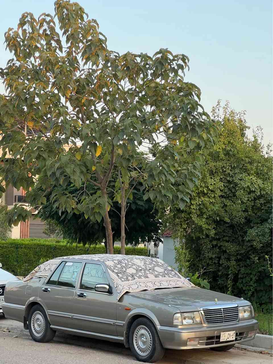 سدریک ٢٠٠١ ئارم پلاستیک هەولێرلۆک لە سەر دەقی شەریکە ماوەتەوە
گێڕمەکینە تەبریت گشت گیانی بە شەرت ٢٢٠٠٠ هەقیقی ڕۆشتوە مەکینەی نەکراوەتەوەکارەبایی هیچ نوقستانی نیە ماڵی دۆستە نرخی ٥٧ گەڵاو معامەلەکی کەم  یەک پارچە بۆیاخە بە بئ ناو گرتن تکایە گە ر مشتەری نیت لە کاتی خۆتوو ئێمەش مەگرە لە گەڵ ڕێزدا
***********
*********** كويسينجاك, أربيل
