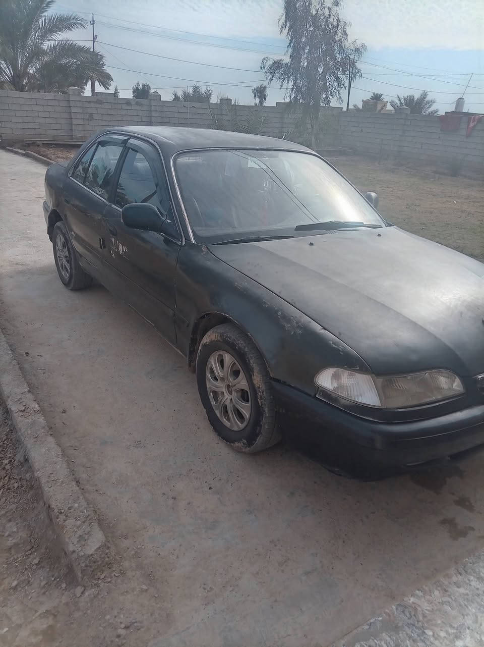 سوناتا تو رقم بغداد تحويل مباشر كير اوتو مكينه جديده جام 4 شغالات تخم تاير صدر خلفي امامي بجيس تدفئه شغاله تخم تاير جديد 37 وبيها مجال بصيط *********** مكان ديالى الخالص
