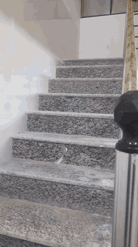 السلام عليكم مشتملين للبيع في الشعب قرب حسينية ام البنين يحتوي كل واحد على خدمات خارجيه واستقبال ومطبخ ومنورين وغرفة نوم بالثاني ٢غرف نوم وخدمات وبيتونه وسطحين  مساحه كل مشتمل ٧٥متر واجهه ٣و٧٥ سم نزال ٢٠م للاستفسار عن السعر الاتصال على الرقم ***********
