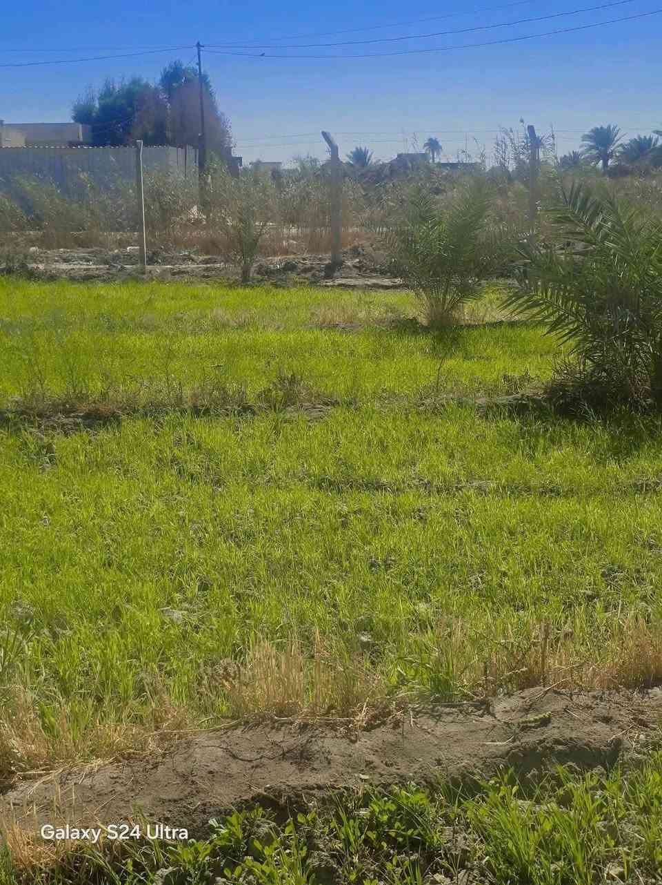 يا الله يتوفر ارض 2000م طابو زراعي سند25
واجهه الأرض 50م 
الخدمات ماء اساله كهرباء طريق سالك بعرض 8,م خط مولده تبعد عن تبليط 150م 
تريده سكن. حديقه ترفيهيه مخازن 
موقع طريق حله نجف خلف جامعه بابل مباشر حي سجاد 
لتواصل اتصال ***********
بعض صور من واقع الأرض
