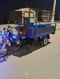 ستوته • موديل ٢٠١٩ • أوراق أصولية