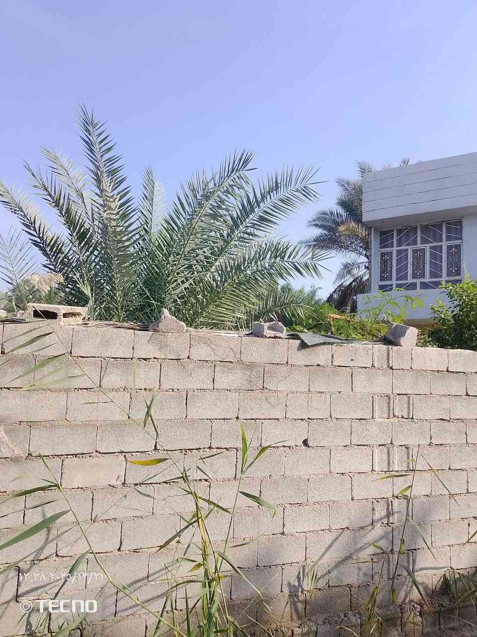 السلام عليكم بيت للبيع زراعي سند 25 المساحه 300 متر متكون من غرف نوم 3 وصاله واستقبال ومطبخ ومطبخ حراري  في جديدة الاغوات قريب على الشارع العام قرب مجمع بهزاد  للاتصال ***********
