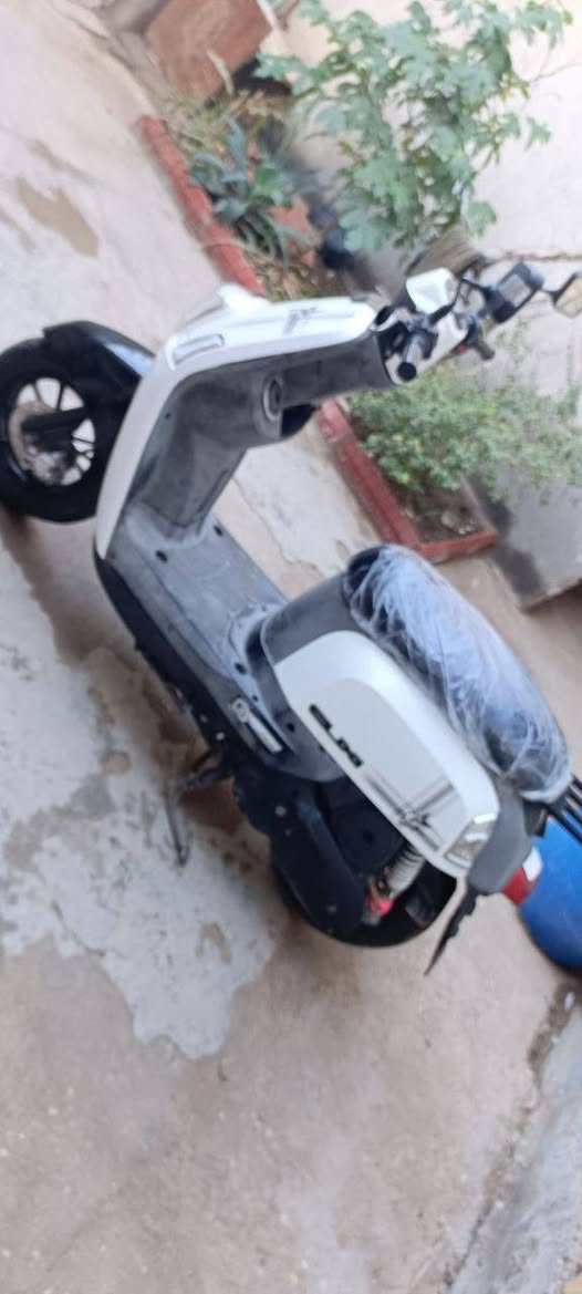 السلام عليكم دراجة بوليسي للبيع
دراجة بوليس نوزل دراجة خير من الله نضيفة 
كلش مال جناي السعر مناسب خاص وهذة رقمي***********
