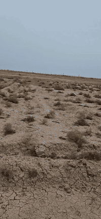 السلام عليكم قطع للبيع سفحة ثانية صف حولي سند عل وجبة ثانية سويلك وكالة يم كاتب عدل شراي يتصل ***********
