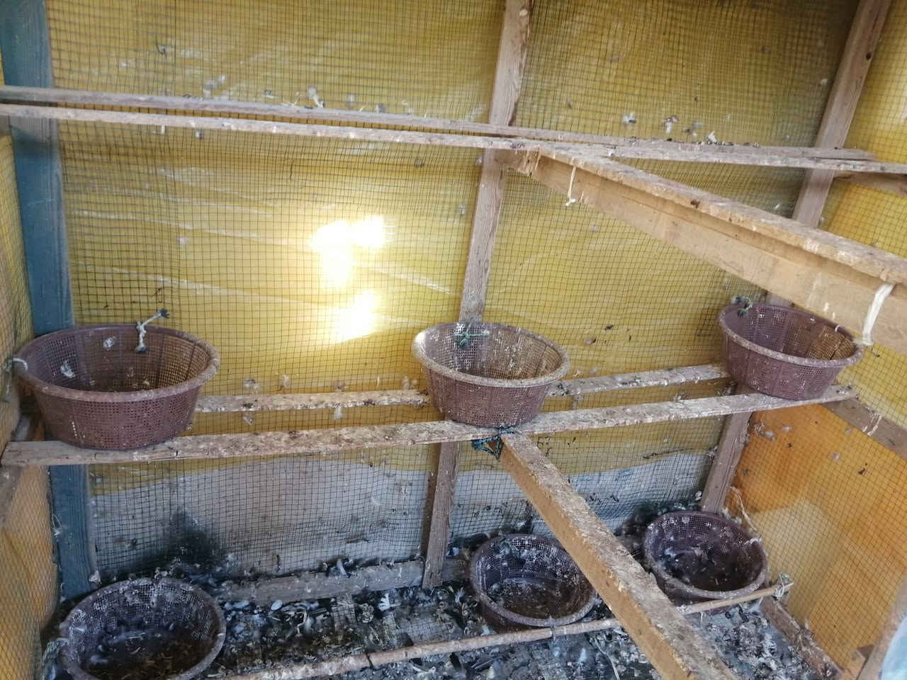 متاح قفص حمام جاهز مغلف سيم ونايلون وسلات بي  ارتفاع متر ونص وعرض متر ونص وعمق متر  السعر ٦٥ في طويريج


**إذا كنت صاحب هذا الإعلان وتريد حذفه لأي سبب، رجاءا أرسل رسالة إلى الدعم الفني**