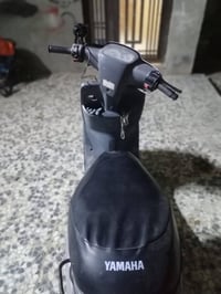 منغولي • نظيفه • بالسله