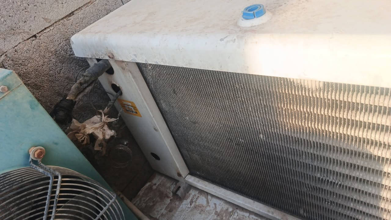 جهاز تجميد 3 طن للبيع شغال نضيف نقص مروحه


**إذا كنت صاحب هذا الإعلان وتريد حذفه لأي سبب، رجاءا أرسل رسالة إلى الدعم الفني**