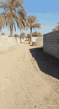 كاع زراعي • ابو ذهب • ٢٨٠٠م