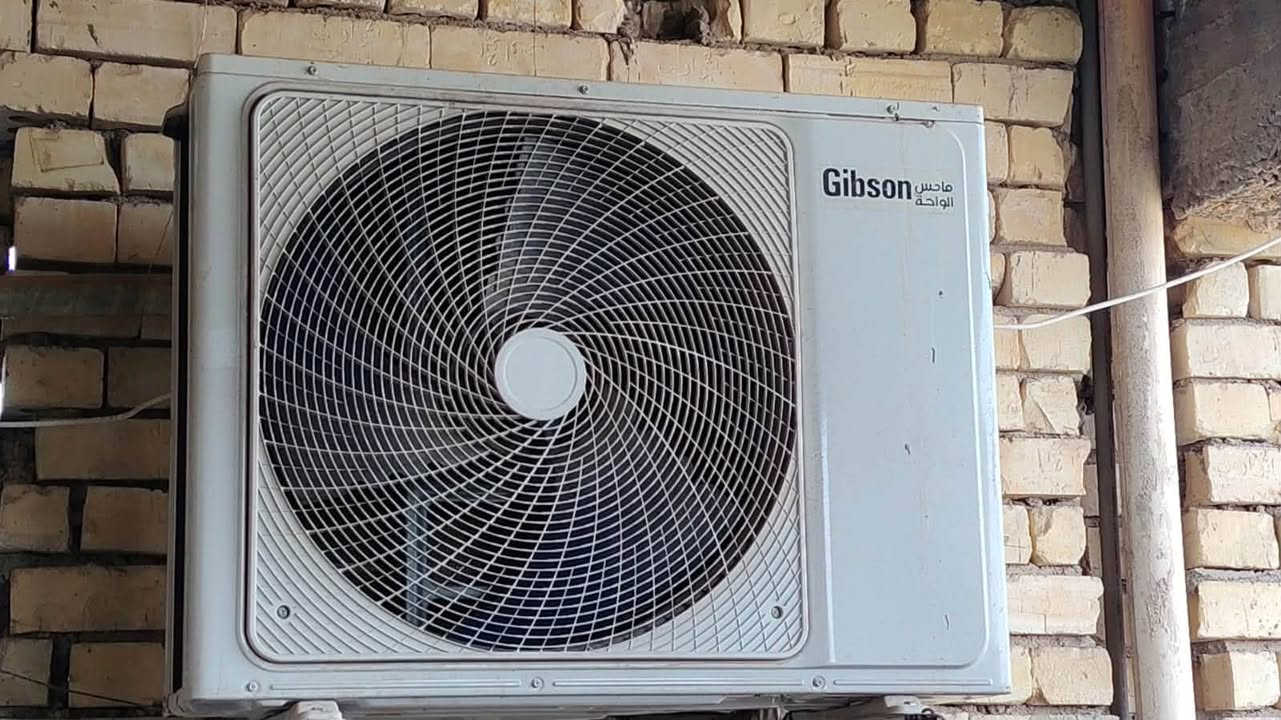 سبلت جبسون طنين عادي بعده جديد مصارله 3 اشهر  بعده بلجيس  ب600
بغداد الغزالية ***********
