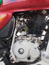 بوکسر • مرقّم ديالى • نضيفه