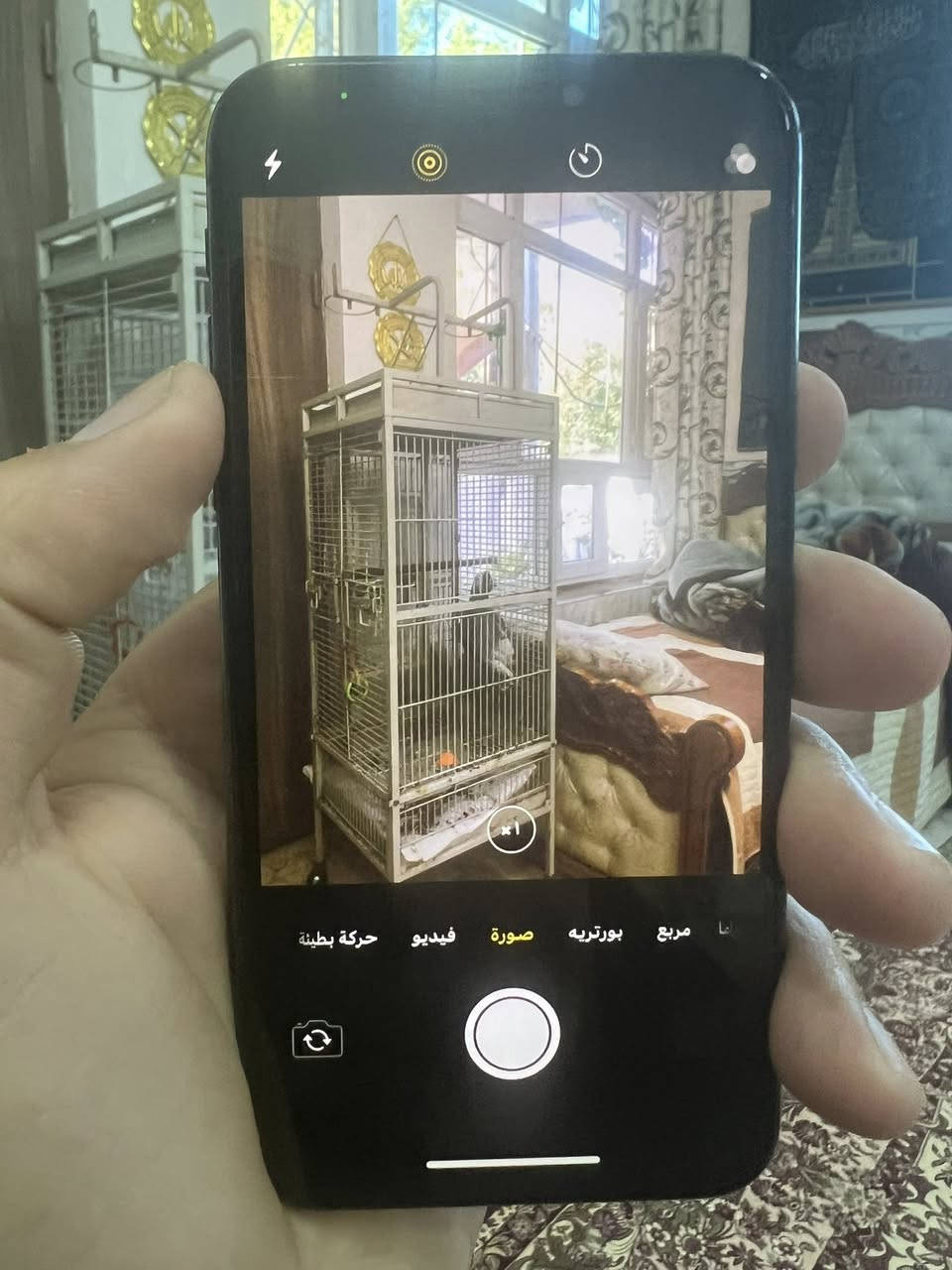 سلام عليكم ايفون اكس فقط 
للبيع سعره 125الف وبيه مجال للشراي
مكاني بغداد البكريه ***********وتساب موجود
