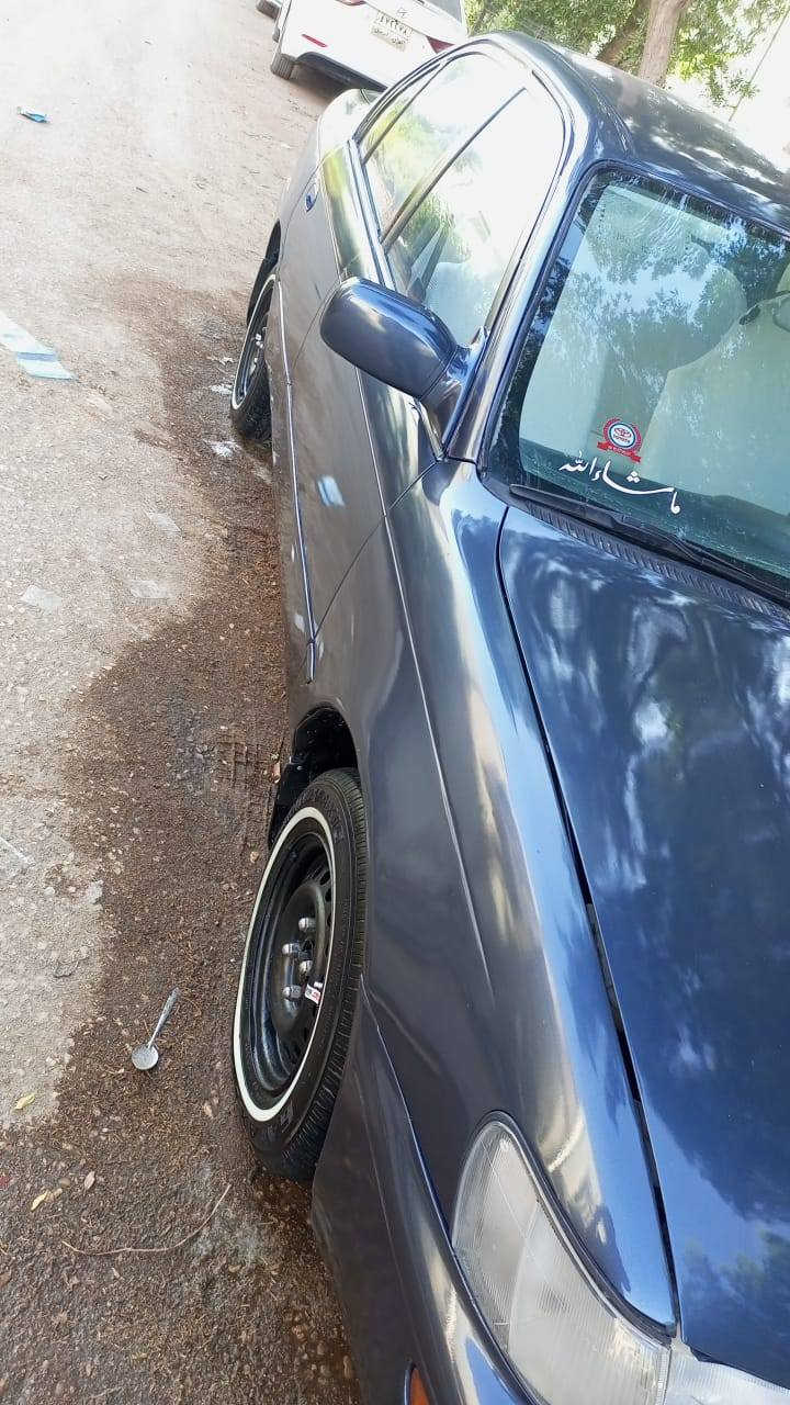 سلام عليكم كورله يسره بلادي مكفول وجاهزه بسمي رقم المبايل ***********
