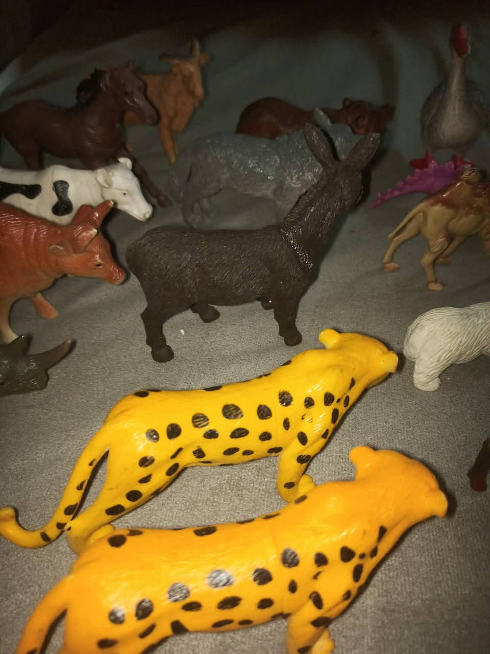 مجسمات حيوان باله أوروبية أصلية سعر كامل المجموعة 25 ألف


**إذا كنت صاحب هذا الإعلان وتريد حذفه لأي سبب، رجاءا أرسل رسالة إلى الدعم الفني**