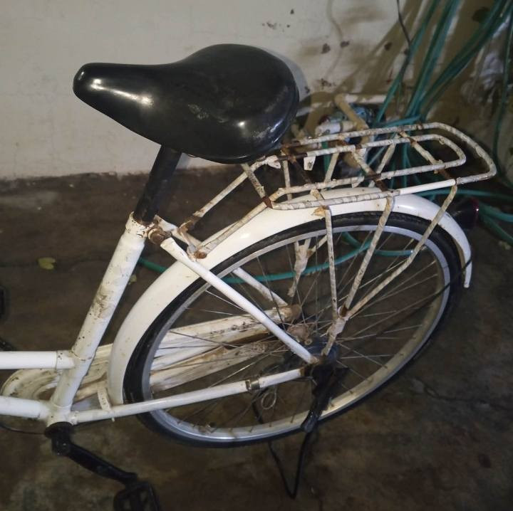 السلام عليكم بايسكل ياباني حجم 26 سوره كدامك  40. رايده جوه السوك للتواصل ***********
