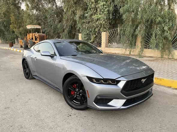 السلام عليكم 
للبيع موستنك ايكو بوست  2024 شكل جديد.  وارد امريكي ضرر وصبغ جاملغ السايق وبنيد الضرر مال السياره صاير من فوك حتى الرادترات بلاديه ما امبدله 

وشرط الكير والمحرك كفاله 

يعني على وضع الشركه 

وبيه صبغ شويه  بالتكمه مال السايق لانه البنيد راجع عليه 

السيارة شرط حلوة وجديدة مصلحة تصليح درجه أولى يعني البنيد والدعاميه مبدلات اصلي شركه 

مواصفات 

بصمه دخول ذكي + تشغيل عن بوعد 

رادار امامي  ورادار جابي كله شغال 

سايد بريك كهرباء   تبريد شاشه ثلج

ماشيه  30  جاهزه من كلشي 

السياره جديده على وضوع الشركه 

السعر 178 وبيه شويه مجال الشراي يخابر 

***********
