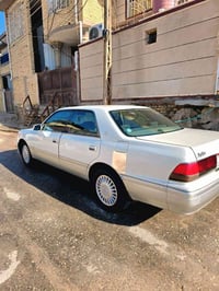 راس الثور • مكفولة • البصره القرنه