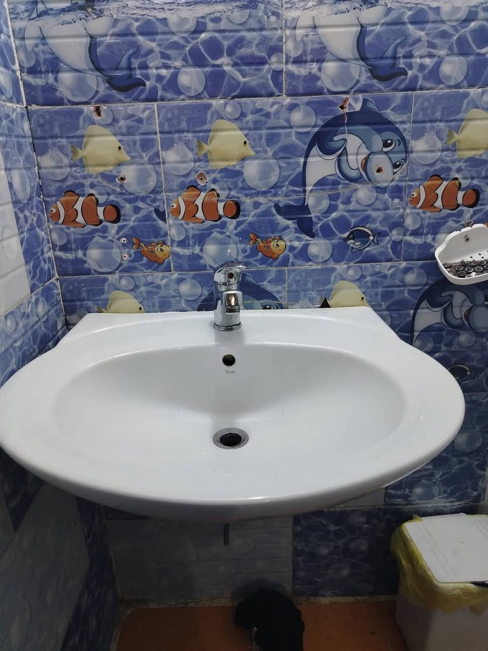 السلام عليكم غراض بيت


**إذا كنت صاحب هذا الإعلان وتريد حذفه لأي سبب، رجاءا أرسل رسالة إلى الدعم الفني**