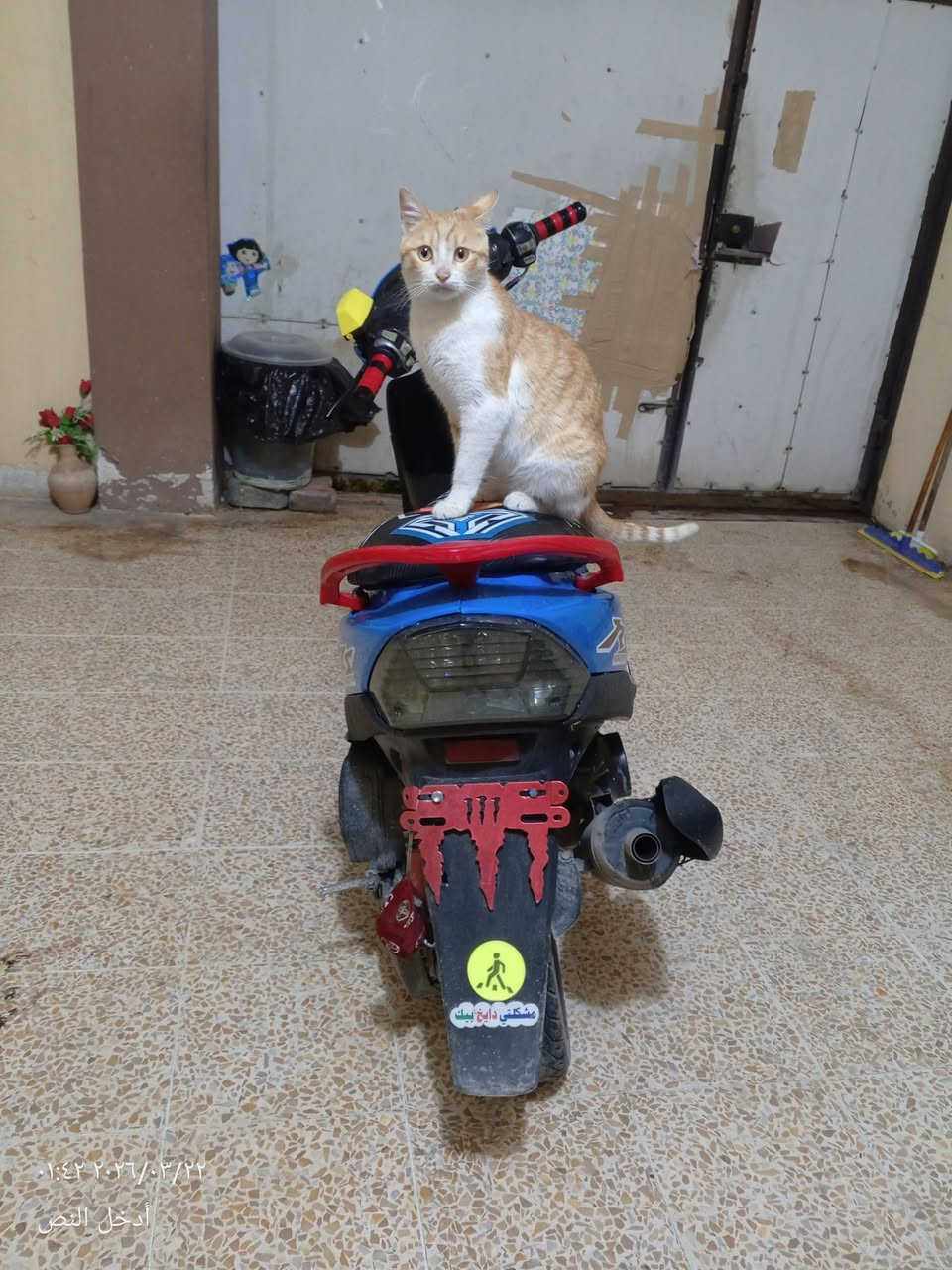 ماطور للبيع ماكس عدله نضافه فول اي عيب مابي وكهرباء شغاله بوشه 55بس سلف مايشتغل السعر 550بي مجال


**إذا كنت صاحب هذا الإعلان وتريد حذفه لأي سبب، رجاءا أرسل رسالة إلى الدعم الفني**