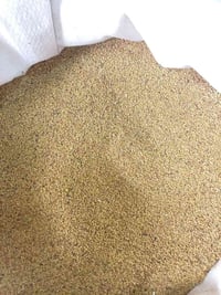 بذور جت • مبيدات واسمدة • مشتل الزعفرانه