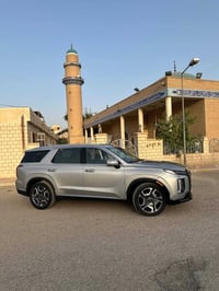 باليسايد • ٢٠٢٥ • دفع رباعي