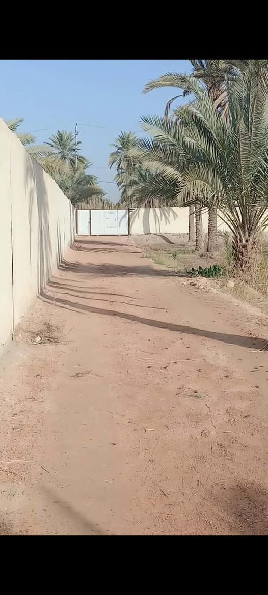 متوفر للبيع أرض طابو زراعي (سند 25) بمساحة دونم.
تتميز بواجهتين؛ الواجهة الأولى بطول 30 متر، والواجهة الثانية بطول 86 متر.

تحتوي على دار استراحة مكوّنة من غرفة وصالة ومطبخ، مع حمامات داخلية وخارجية.
الأرض مسيّجة بالكامل بالبلوك، ولها بابان للدخول.
كما تتوفر فيها بئر ماء، وماء إسالة، وكهرباء.خدمات كامله. 

الموقع ركن ومميز. طريق بغداد _كربلاء عامود 286. 
يبعد عن الشارع العام بالضبط 600 متر. 

للاستفسار والتفاصيل أكثر، يرجى التواصل.***********.   

…

