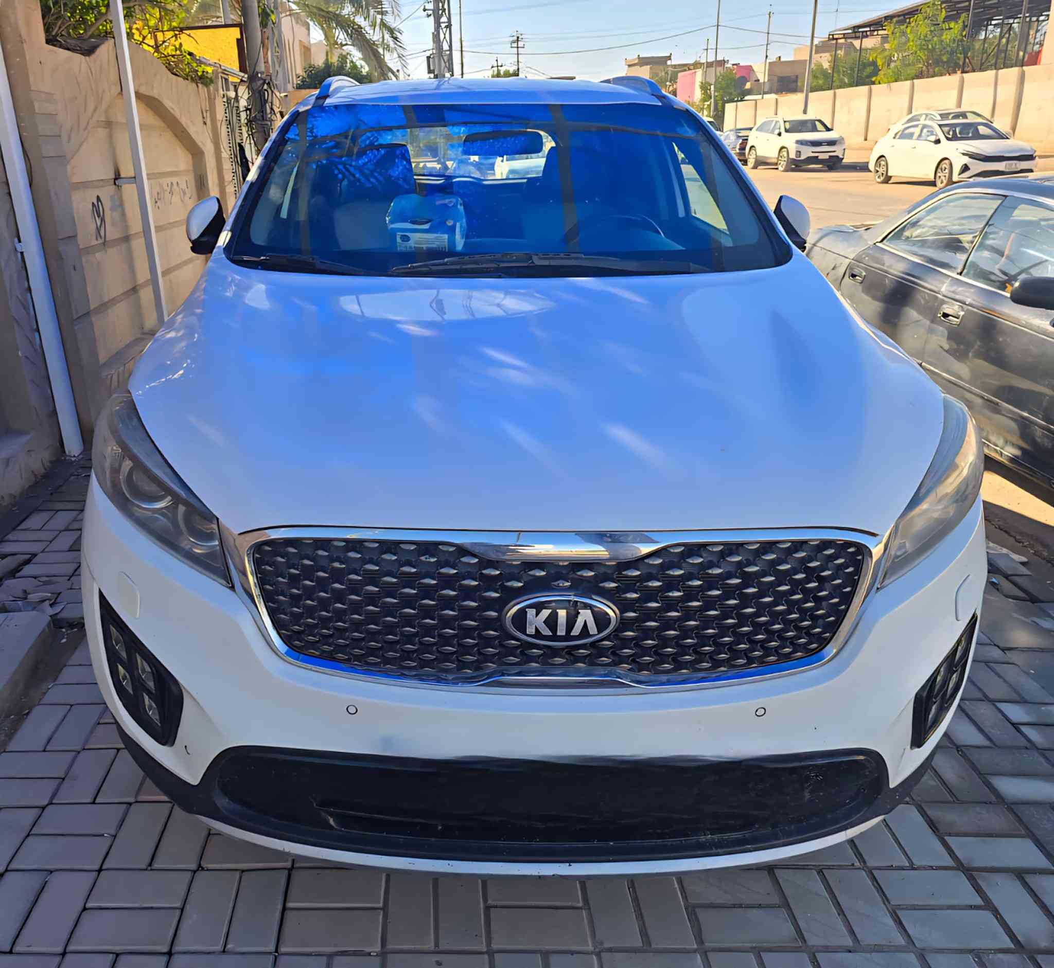 السلام عليكم
سورنتو٢٠١٨ وارد خليجي
رقم اربيل دولي  هزة جديدة تحويل مباشر
٦سلندر 
٧راكب
دفع رباعي
تحكم ستيرن جهتين
اشاير بالمري

قطعتين تبريد
بصمه
 
تخم تاير جديد باتري جديد ترايها مال زيرو تبريدها ثلج
كير ومحرك خير من الله لا تبخير ولا تنقيص ولا دوانز
   ***********  ديوانيه
