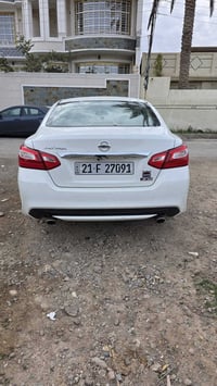 ٢٠١٧ • وارد امريكي • بدون صبغ