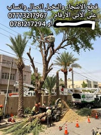 قطع الاشجار  والنخيل انتصال واتساب علا الارقام  07773217967 او 0781219...