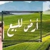 أرض • ١٠٠م • حي الشهداء