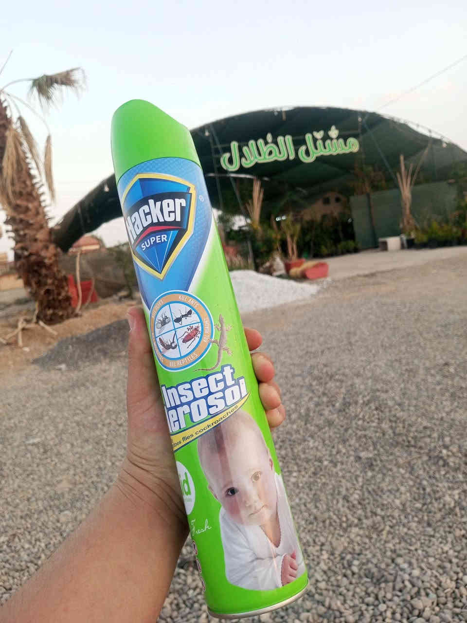 على بركة الله وصول وجبة جديدة من مبيد الاعشاب بجميع الانواع الى مشتل الظلال  مجذر ملمع نباتات اسمده هيومك 
اسيد ان بي كي وبتموس بجميع الاحجام
متوفر توصيل الى جميع مناطق الموصل 
للاستفسار مراسلة الصفحة او الاتصال على الرقم ***********
العنوان الحود الشارع العام مقابيل الحود مول مشتل الظلال قرب مفرق الزاوية 
#سنادين_اشجار_ورود_اسمده_بتموس
