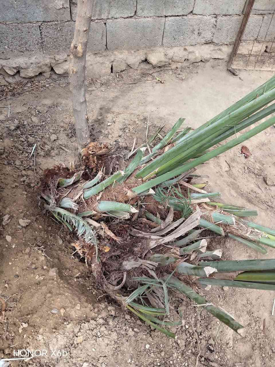 السلام عليكم
تال خيار للبيع السعر 15
لأستفسار على الرقم التالي ***********
