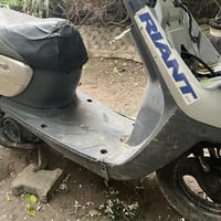 منغولي • شغالة • كربلاء