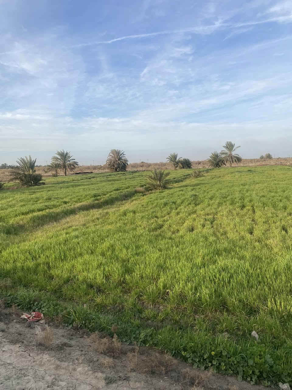 البيع4دونم شاطي مكاني على طريق ممحله ال حناج تفاصيل***********
