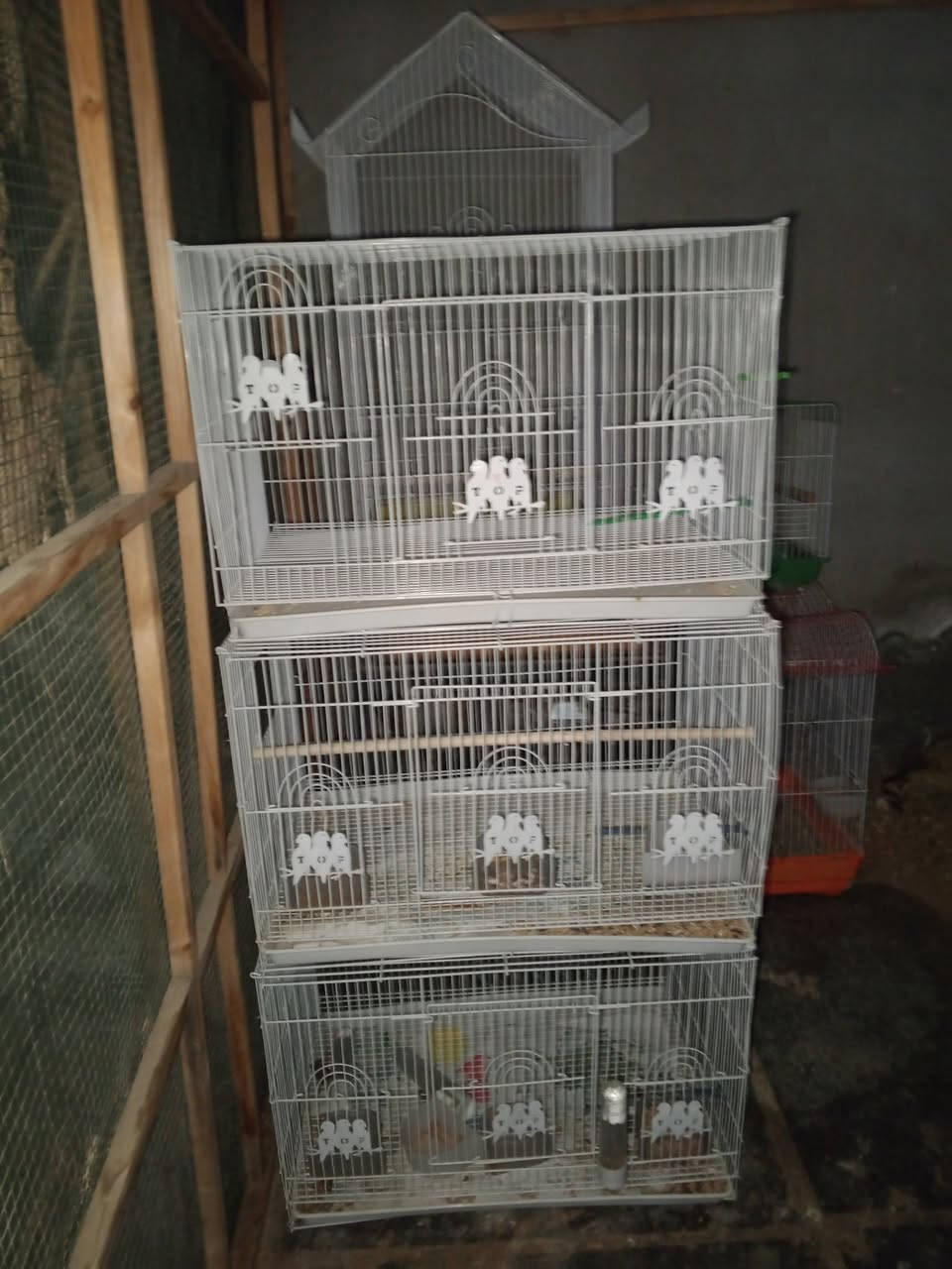 متاح 
اقفاصه وخانات ام الطير الابييض 60*40
لطيور الكوكتيلات وطيور الحب 
الشراي بي خير ويتدلل مكاني سنيه ***********
