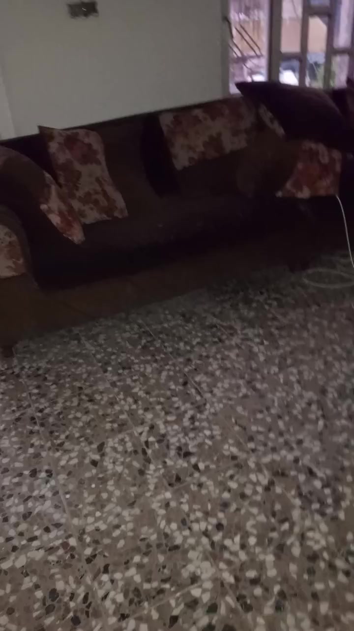 تخم  للبيع 12مقعد السعر 250وبي مجال كلش نضيف***********
