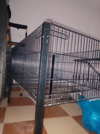 جرباية • مستعجل • بي مجال