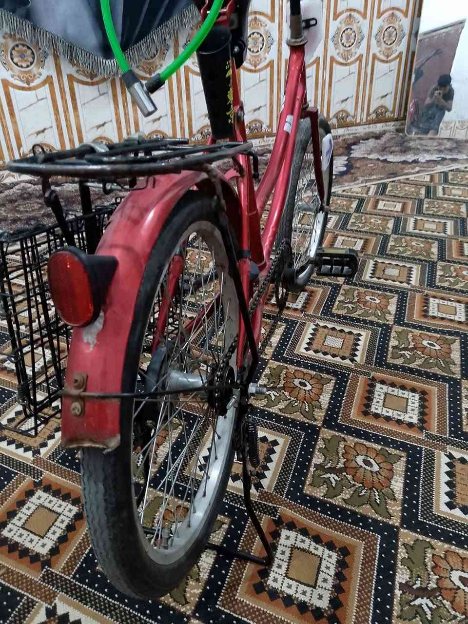 السلام عليكم  بيسكل حجم 20السعر 55وبيه مجال


**إذا كنت صاحب هذا الإعلان وتريد حذفه لأي سبب، رجاءا أرسل رسالة إلى الدعم الفني**