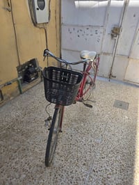ياباني • حجم ٢٦ • جير داخلي ٣