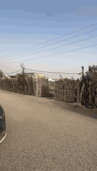 السلام عليكم
للبيع دونم وقف 
بغداد سلمان باك باوي 
وجه 31 
نزال 80 
عقد جديد وخارطة للارض 
مسيج وكامل 
مي سقي مع بير خاص للارض 
مشجر حمضيات ونخيل 
يصلح استثمار او سكن 
سعر مناسب جداً 
للاستفسار 
***********
