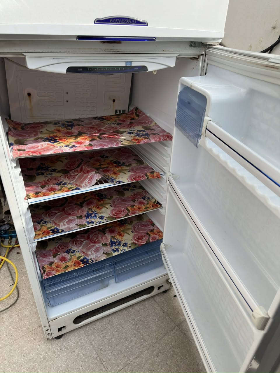 ثلاجة كونكورت شغالة ومابيها نقص سعرها 100 
والي ماعندة يجي ياخذها بلاش 

بعقوبة حي المهندسين 
***********
