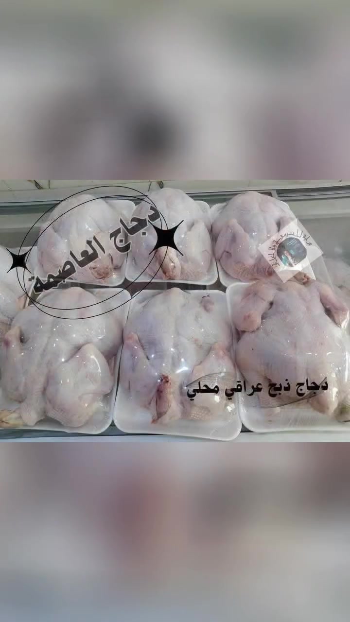 دجاج العاصمة 
دجاجنه نمبر وان جرب وتاكدبنفسك🤭
دجاج عراقي شرط لازفرة ولازراك ذبح جديد يوم بيومة  يوصلكم حار 🔥

دجاج مقطع  حسب الطلب 🍗
صدر دجاج مسحب  صدر دجاج بعظم
 افخاذ  رقب  
🍗كبده مخلوط   حواصل     كبده صافي 

للحجز و الا ستفسار مراسله البيج 
مركز البيع المباشر لمنتجات دجاج العاصمة النموذجية
او مراسلة الرقم على
 واتساب ***********
***********
